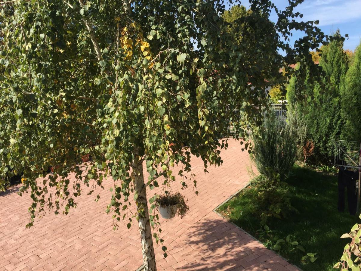 Tamás Apartman Balatonföldvár szívében- egész évben nyitva! Exterior foto